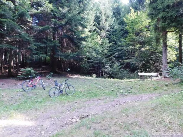 Z Szalowej do Morskiego Oka :)