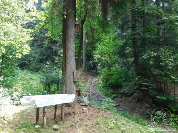 Z Szalowej do Morskiego Oka :)