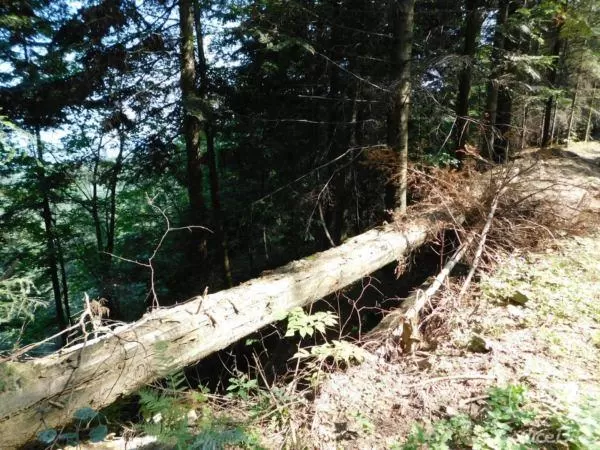 Z Szalowej do Morskiego Oka :)
