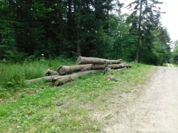 Z Szalowej do Morskiego Oka :)