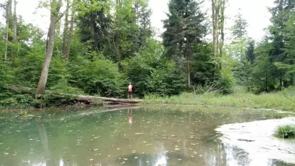 Z Szalowej do Morskiego Oka :)
