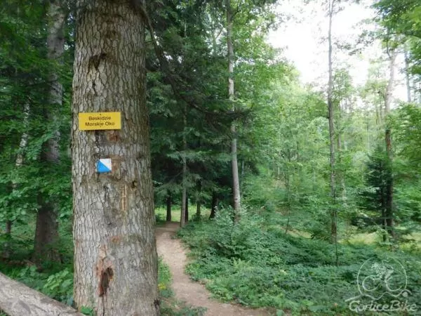Z Szalowej do Morskiego Oka :)