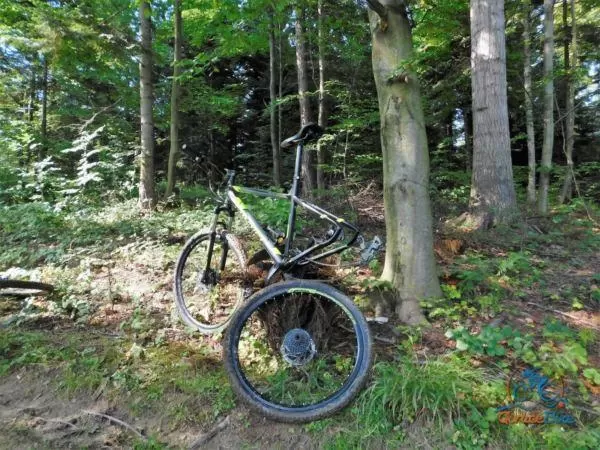 Spontaniczny Zlot Rowerzystów – podsumowanie