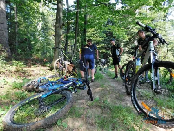 Spontaniczny Zlot Rowerzystów – podsumowanie