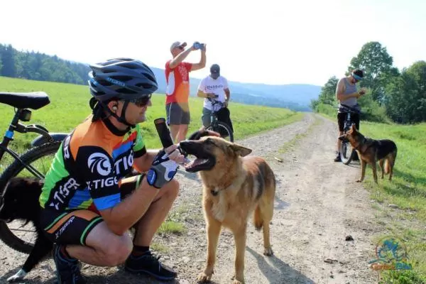 Spontaniczny Zlot Rowerzystów – podsumowanie