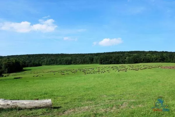 Spontaniczny Zlot Rowerzystów – podsumowanie