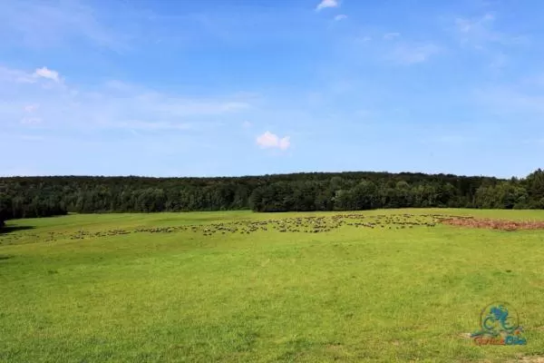 Spontaniczny Zlot Rowerzystów – podsumowanie