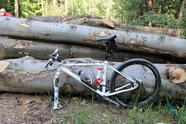 Spontaniczny Zlot Rowerzystów – podsumowanie