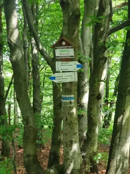 O Trasie MTB Zaawansowanej – Trudnej XI Rajdu Reinfussa