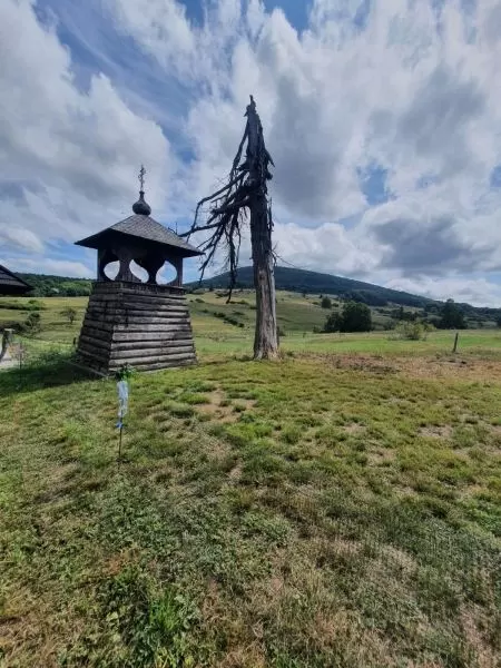 O Trasie MTB Zaawansowanej – Trudnej XI Rajdu Reinfussa