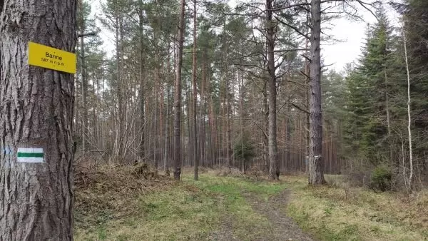 O Trasie MTB Zaawansowanej – Trudnej XI Rajdu Reinfussa