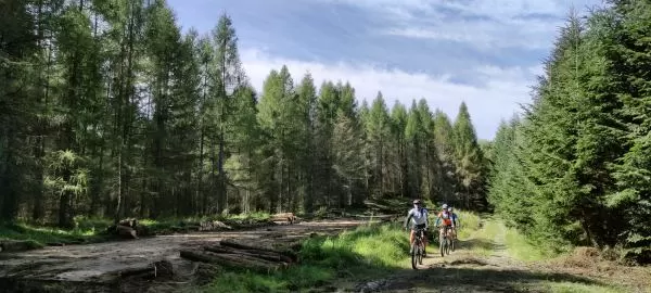 O Trasie MTB Zaawansowanej – Trudnej XI Rajdu Reinfussa