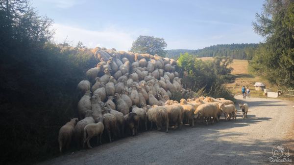 Beskid Niski na Rowerze – Zaginiony Świat Bojków, Łemków i Pogórzan