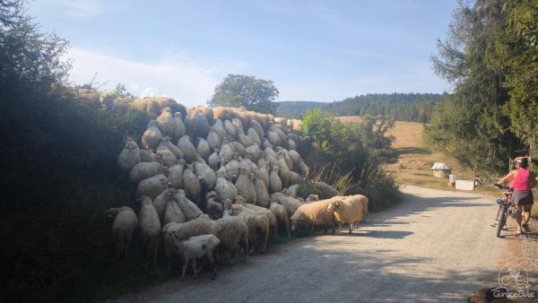 Beskid Niski na Rowerze – Zaginiony Świat Bojków, Łemków i Pogórzan