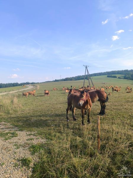 Beskid Niski na Rowerze – Zaginiony Świat Bojków, Łemków i Pogórzan