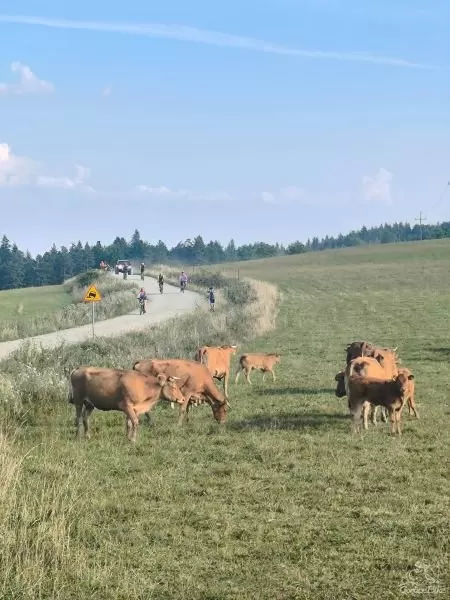 Beskid Niski na Rowerze – Zaginiony Świat Bojków, Łemków i Pogórzan